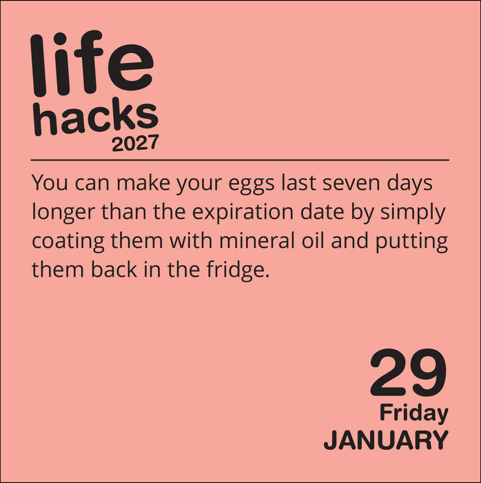 Life Hacks 2027 Page-A-Day Calendar