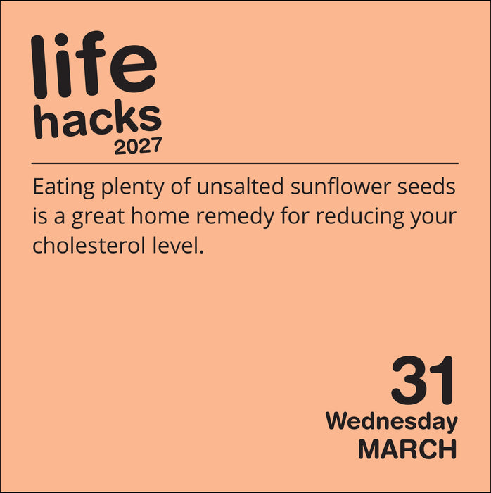 Life Hacks 2027 Page-A-Day Calendar