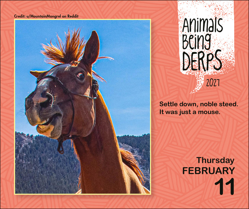 Animals Being Derps 2027 Page-A-Day Calendar