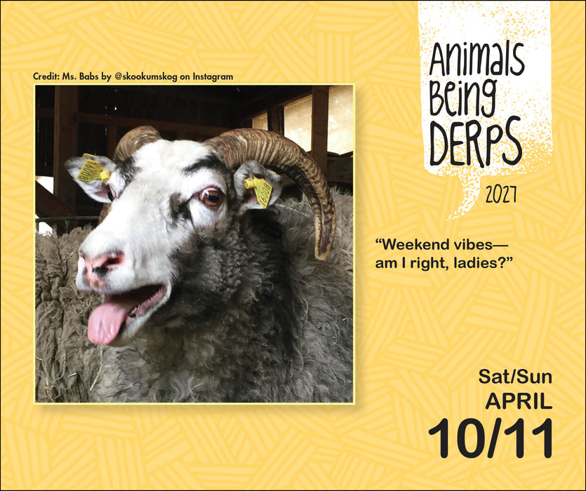 Animals Being Derps 2027 Page-A-Day Calendar