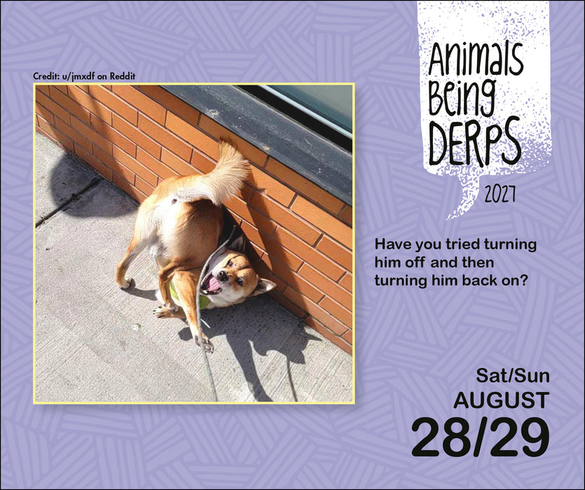 Animals Being Derps 2027 Page-A-Day Calendar