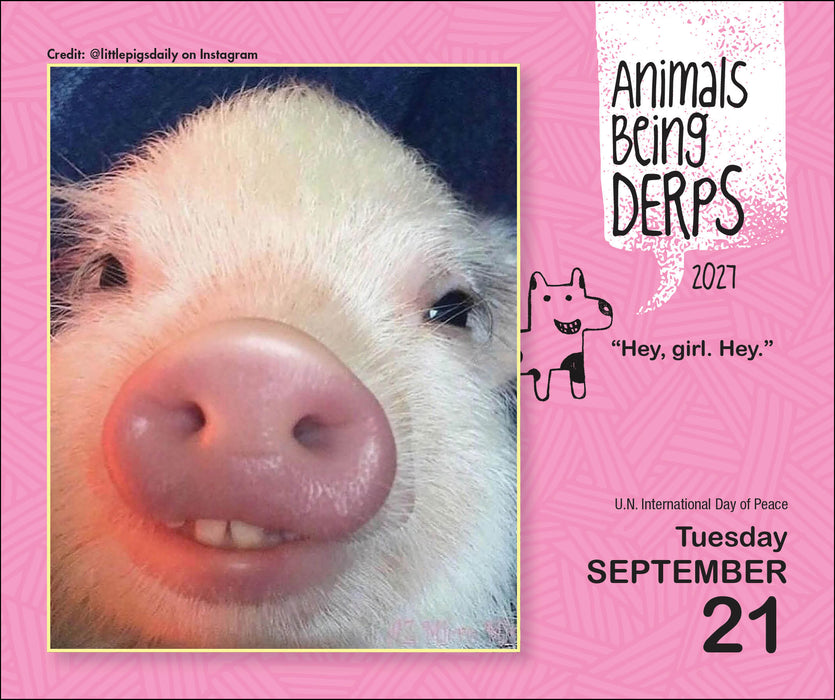 Animals Being Derps 2027 Page-A-Day Calendar