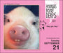 Animals Being Derps 2027 Page-A-Day Calendar