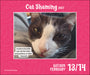 Cat Shaming 2027 Page-A-Day Calendar