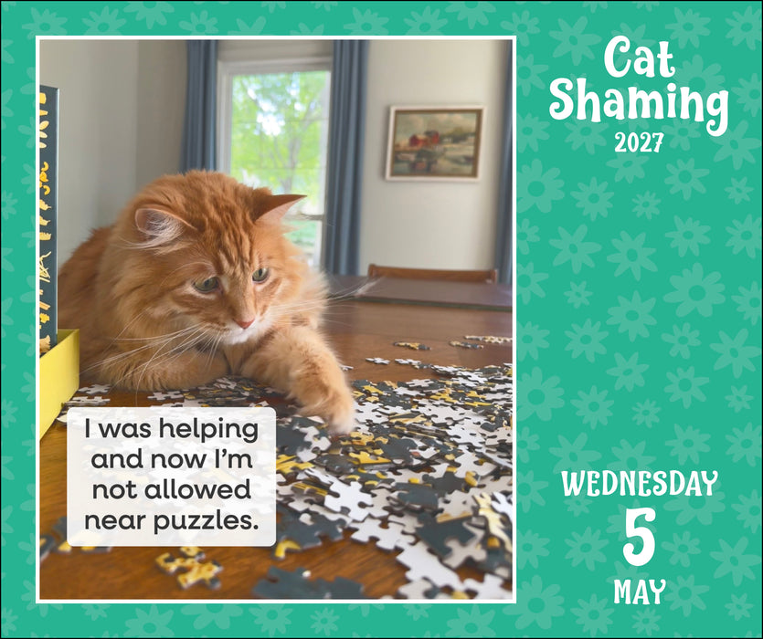 Cat Shaming 2027 Page-A-Day Calendar