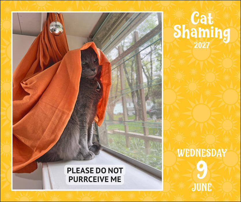 Cat Shaming 2027 Page-A-Day Calendar
