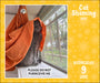 Cat Shaming 2027 Page-A-Day Calendar