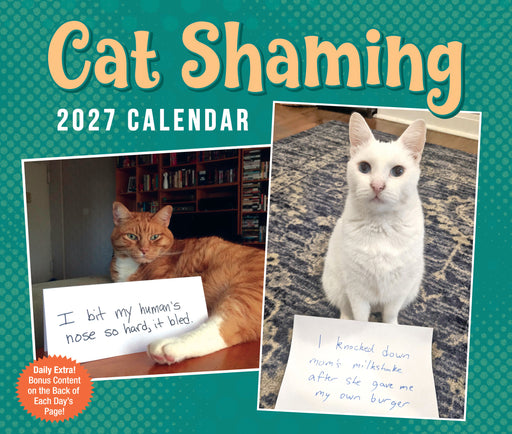Cat Shaming 2027 Page-A-Day Calendar