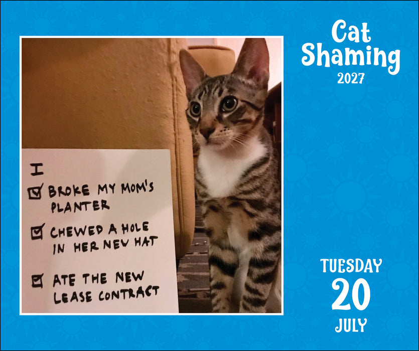 Cat Shaming 2027 Page-A-Day Calendar