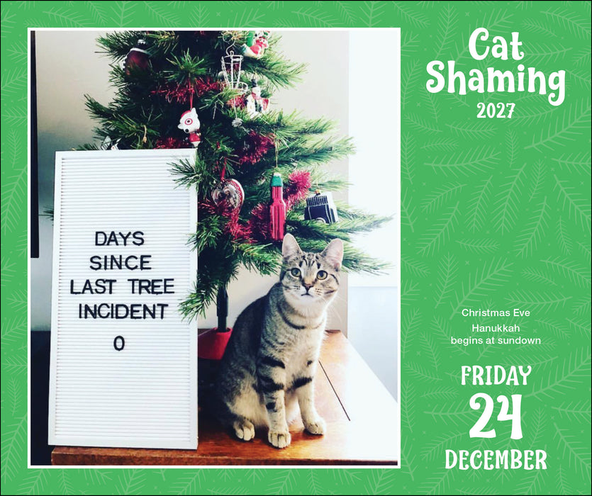 Cat Shaming 2027 Page-A-Day Calendar