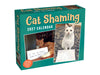 Cat Shaming 2027 Page-A-Day Calendar