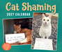 Cat Shaming 2027 Page-A-Day Calendar