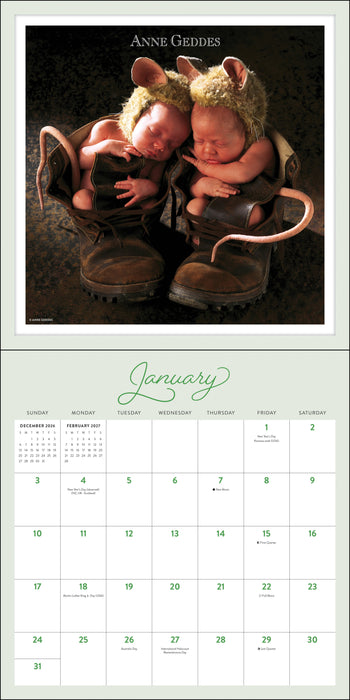 Anne Geddes 2027 Square Wall Calendar