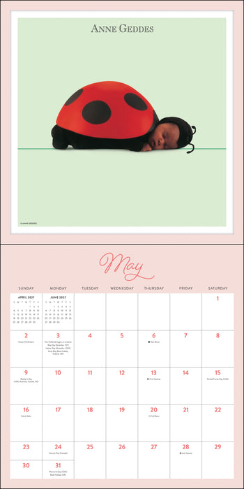 Anne Geddes 2027 Square Wall Calendar