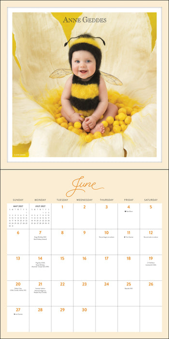 Anne Geddes 2027 Square Wall Calendar