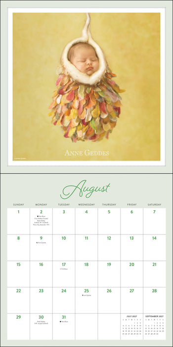 Anne Geddes 2027 Square Wall Calendar