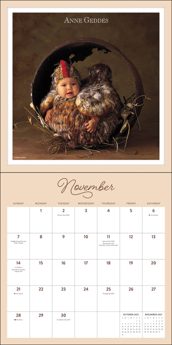 Anne Geddes 2027 Square Wall Calendar