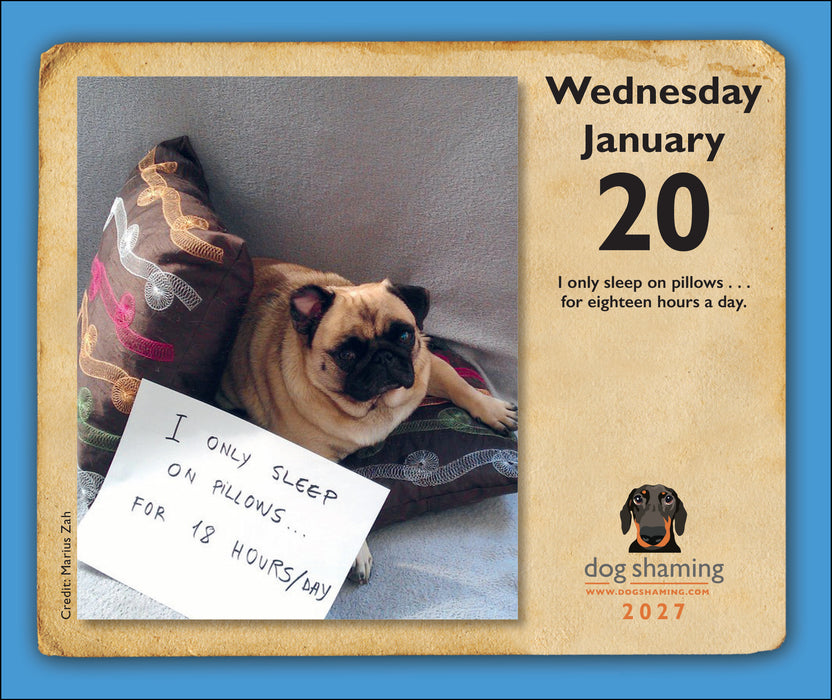 Dog Shaming 2027 Page-A-Day Calendar