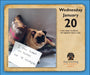 Dog Shaming 2027 Page-A-Day Calendar