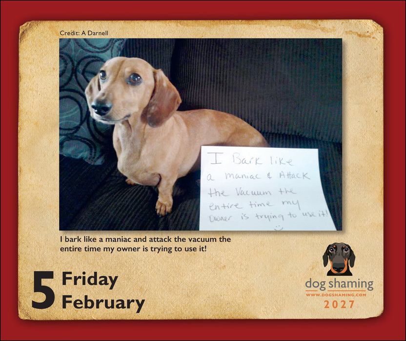 Dog Shaming 2027 Page-A-Day Calendar