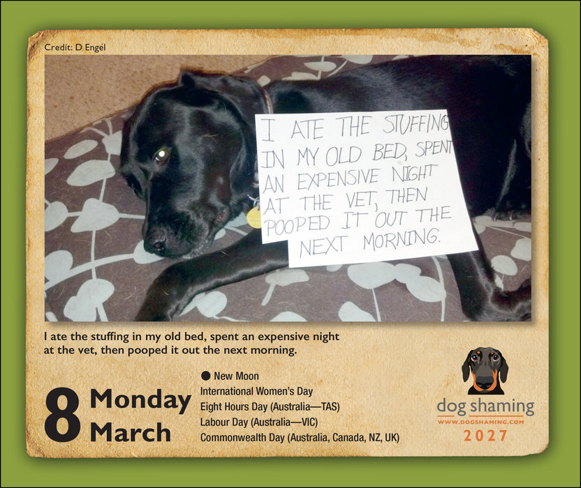 Dog Shaming 2027 Page-A-Day Calendar