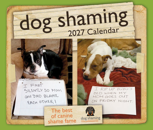 Dog Shaming 2027 Page-A-Day Calendar