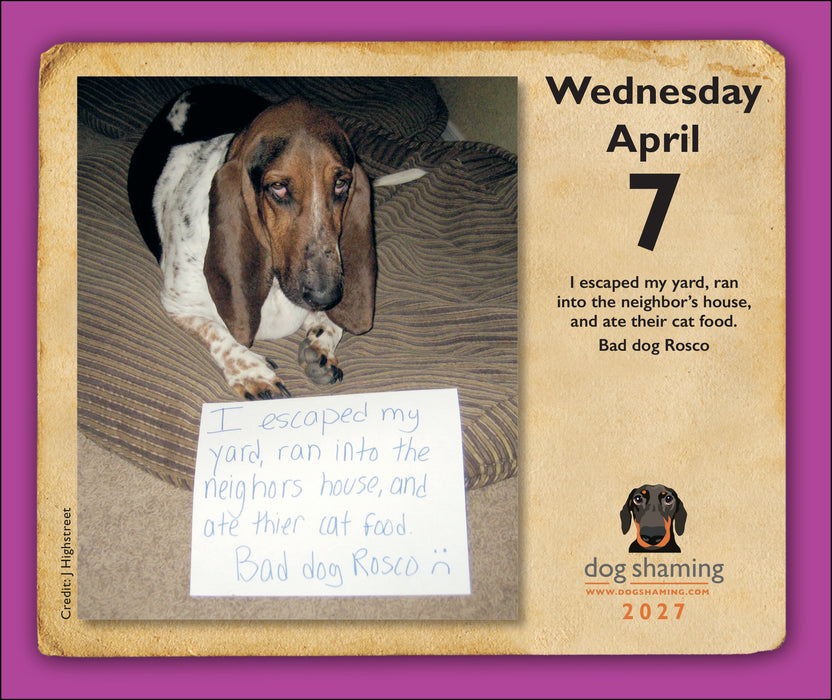 Dog Shaming 2027 Page-A-Day Calendar