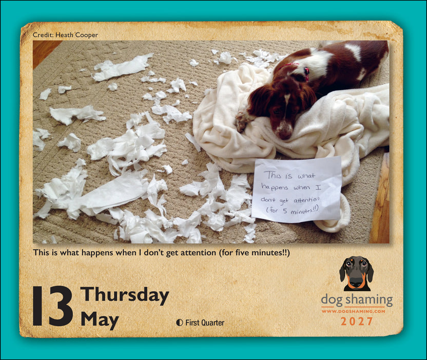 Dog Shaming 2027 Page-A-Day Calendar