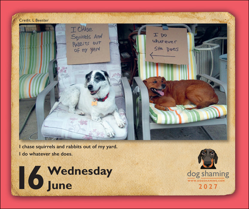 Dog Shaming 2027 Page-A-Day Calendar