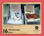 Dog Shaming 2027 Page-A-Day Calendar