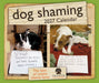 Dog Shaming 2027 Page-A-Day Calendar