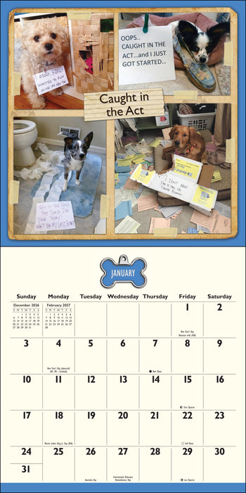 Dog Shaming 2027 Square Wall Calendar