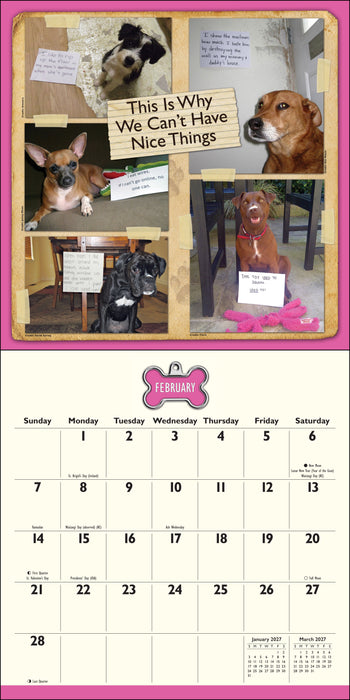 Dog Shaming 2027 Square Wall Calendar