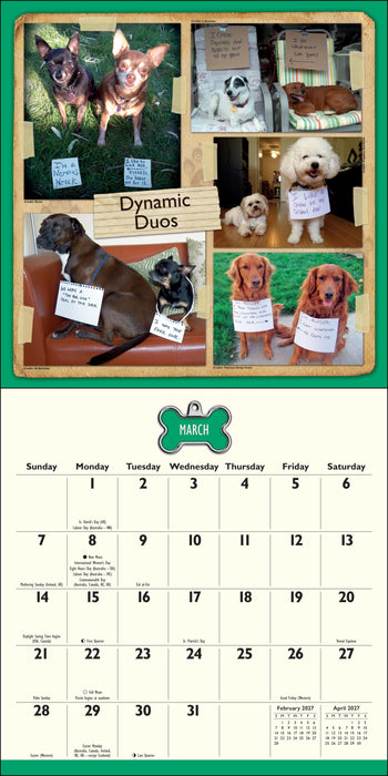 Dog Shaming 2027 Square Wall Calendar