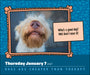 Dogs are Cheaper Than Therapy 2027 Page-A-Day Calendar