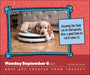 Dogs are Cheaper Than Therapy 2027 Page-A-Day Calendar