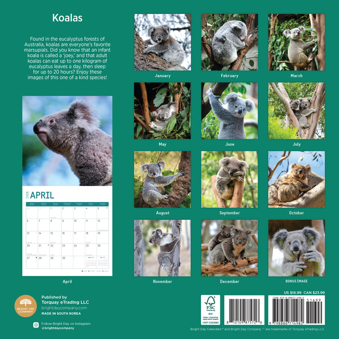 2025 Koalas Wall Calendar