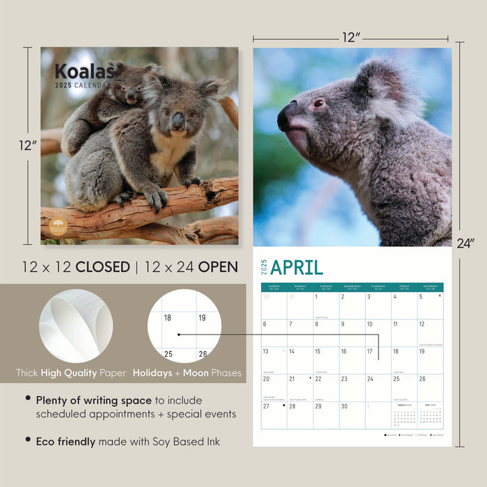 2025 Koalas Wall Calendar