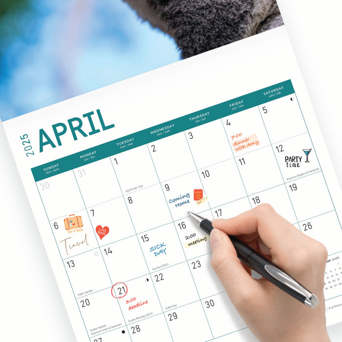 2025 Koalas Wall Calendar