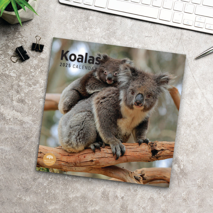 2025 Koalas Wall Calendar