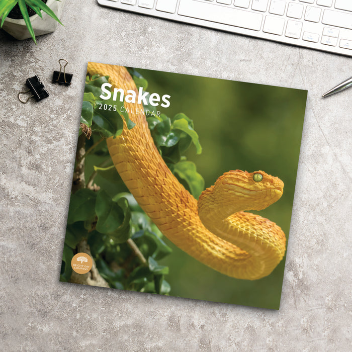 2025 Snakes Wall Calendar