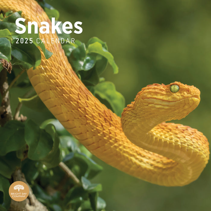 2025 Snakes Wall Calendar