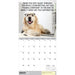 Desk Dogs 2026 Square Wall Calendar