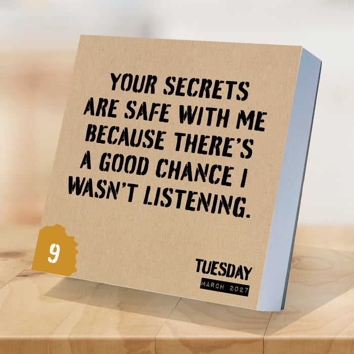 Anti Affirmations Daily Sarcasm 2027 Page-A-Day Calendar