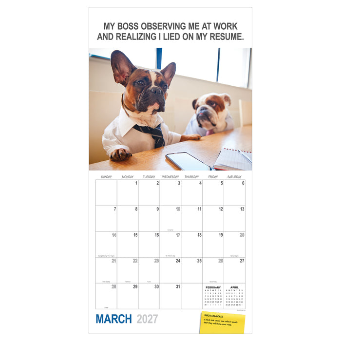 Desk Dogs 2027 Square Wall Calendar