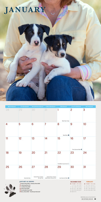Muster Dogs 2027 Square Wall Calendar