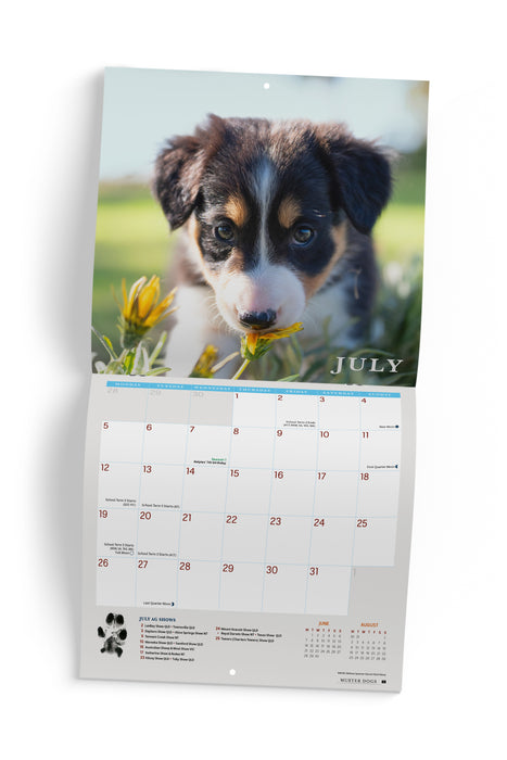 Muster Dogs 2027 Square Wall Calendar