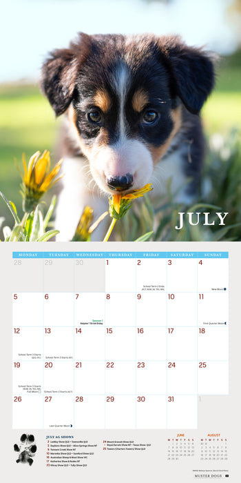 Muster Dogs 2027 Square Wall Calendar