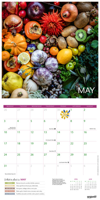 ABC Organic Gardener 2027 Square Wall Calendar