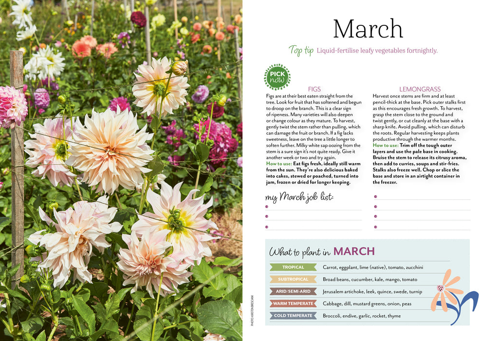 ABC Organic Gardener 2027 Weekly Diary (Online Exclusive)
